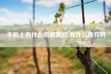 手机上有什么调教游戏,有什么推荐吗