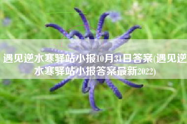 遇见逆水寒驿站小报10月31日答案(遇见逆水寒驿站小报答案最新2022)
