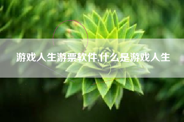 游戏人生游票软件,什么是游戏人生