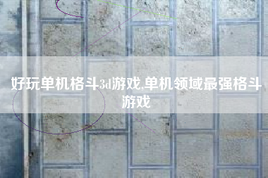 好玩单机格斗3d游戏,单机领域最强格斗游戏