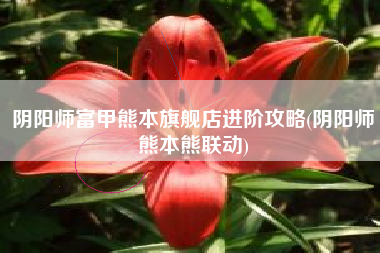 阴阳师富甲熊本旗舰店进阶攻略(阴阳师熊本熊联动)