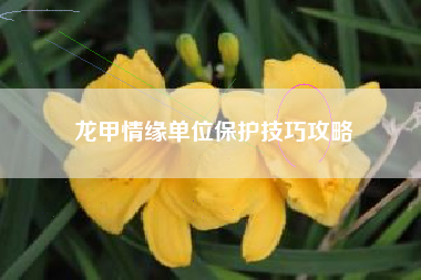 龙甲情缘单位保护技巧攻略
