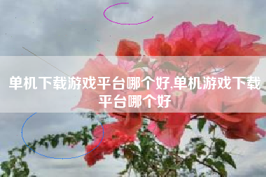 单机下载游戏平台哪个好,单机游戏下载平台哪个好