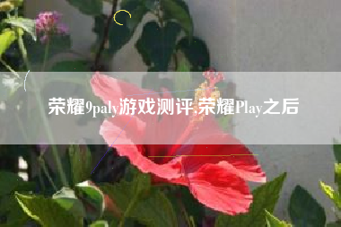 荣耀9paly游戏测评,荣耀Play之后
