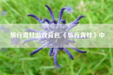 旅行青蛙游戏背包,《旅行青蛙》中