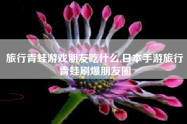 旅行青蛙游戏朋友吃什么,日本手游旅行青蛙刷爆朋友圈