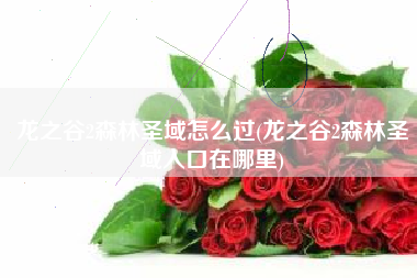 龙之谷2森林圣域怎么过(龙之谷2森林圣域入口在哪里)