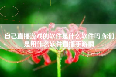 自己直播游戏的软件是什么软件吗,你们是用什么软件直播手游啊