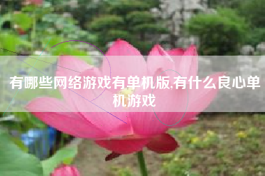 有哪些网络游戏有单机版,有什么良心单机游戏