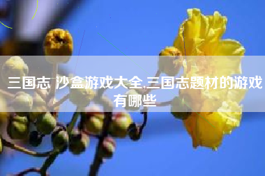 三国志 沙盒游戏大全,三国志题材的游戏有哪些