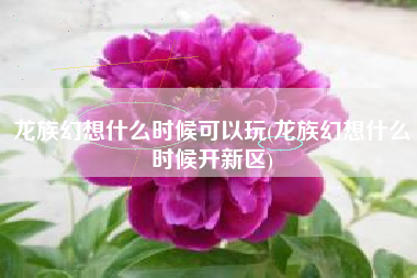 龙族幻想什么时候可以玩(龙族幻想什么时候开新区)