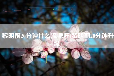 黎明前20分钟什么流派好(黎明前20分钟升级)