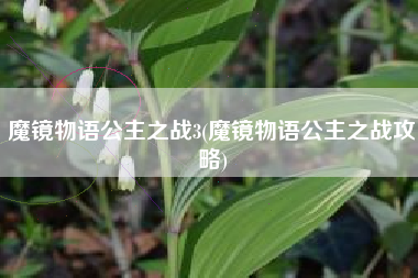 魔镜物语公主之战3(魔镜物语公主之战攻略)