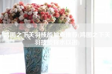 鸿图之下关羽技能加点推荐(鸿图之下关羽技能释水以困)