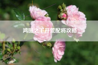 鸿图之下开荒配将攻略