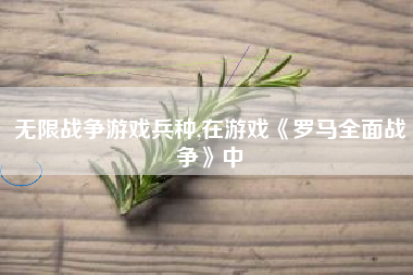 无限战争游戏兵种,在游戏《罗马全面战争》中