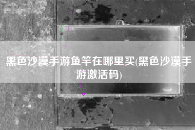 黑色沙漠手游鱼竿在哪里买(黑色沙漠手游激活码)