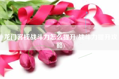 龙门客栈战斗力怎么提升(战斗力提升攻略)