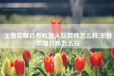 王者荣耀吕布机器人玩游戏怎么样,王者荣耀吕布怎么玩
