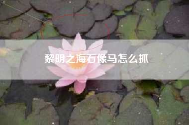 黎明之海石像马怎么抓