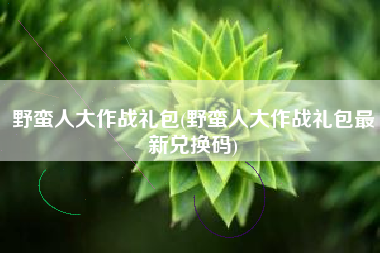 野蛮人大作战礼包(野蛮人大作战礼包最新兑换码)