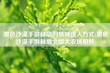 黑色沙漠手游赫墩的领域进入方式(黑色沙漠手游赫墩北部大农场拍照)