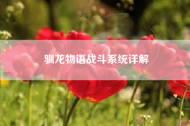 驯龙物语战斗系统详解