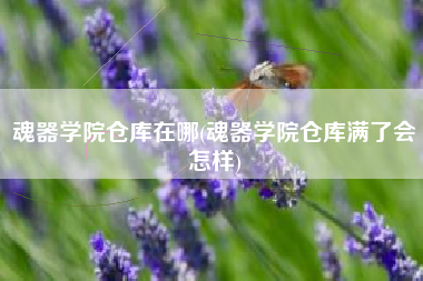 魂器学院仓库在哪(魂器学院仓库满了会怎样)