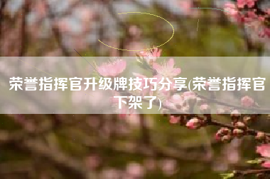 荣誉指挥官升级牌技巧分享(荣誉指挥官下架了)