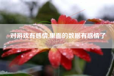 对游戏有感情,里面的数据有感情了