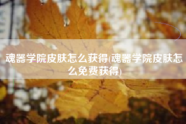 魂器学院皮肤怎么获得(魂器学院皮肤怎么免费获得)