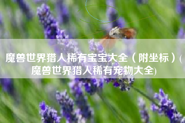 魔兽世界猎人稀有宝宝大全（附坐标）(魔兽世界猎人稀有宠物大全)