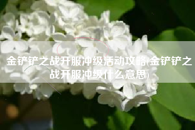 金铲铲之战开服冲级活动攻略(金铲铲之战开服冲级什么意思)