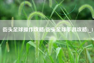 街头足球操作攻略(街头足球手游攻略)_1
