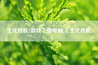 生化危机2游戏下载电脑,《生化危机2