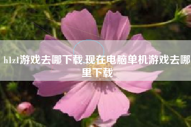 h1z1游戏去哪下载,现在电脑单机游戏去哪里下载