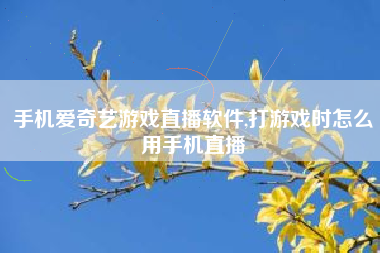 手机爱奇艺游戏直播软件,打游戏时怎么用手机直播