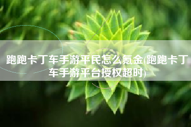 跑跑卡丁车手游平民怎么氪金(跑跑卡丁车手游平台授权超时)