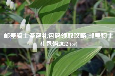 邮差骑士圣诞礼包码领取攻略(邮差骑士礼包码2022 ios)