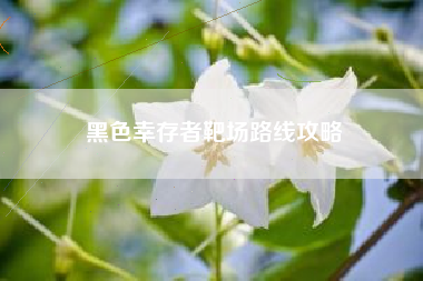 黑色幸存者靶场路线攻略