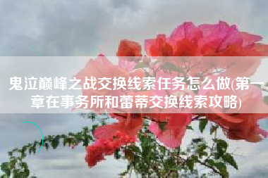 鬼泣巅峰之战交换线索任务怎么做(第一章在事务所和蕾蒂交换线索攻略)