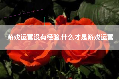 游戏运营没有经验,什么才是游戏运营
