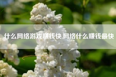 什么网络游戏赚钱快,网络什么赚钱最快