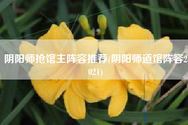 阴阳师抢馆主阵容推荐(阴阳师道馆阵容2021)