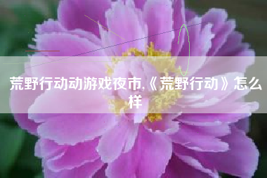 荒野行动动游戏夜市,《荒野行动》怎么样