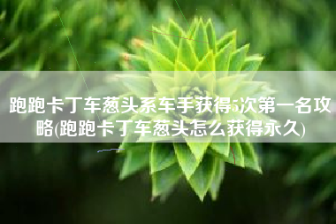 跑跑卡丁车葱头系车手获得5次第一名攻略(跑跑卡丁车葱头怎么获得永久)
