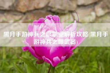 黑月手游神兵之眼职业解析攻略(黑月手游神兵之眼武器)