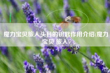 魔力宝贝旅人头目的钥匙作用介绍(魔力宝贝 旅人)