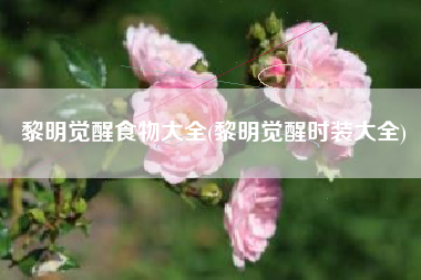 黎明觉醒食物大全(黎明觉醒时装大全)