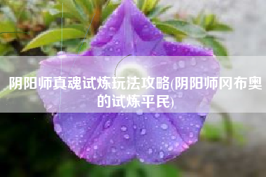 阴阳师真魂试炼玩法攻略(阴阳师冈布奥的试炼平民)